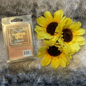 Pumpkin Spice Sonoma Scented Wax Cubes